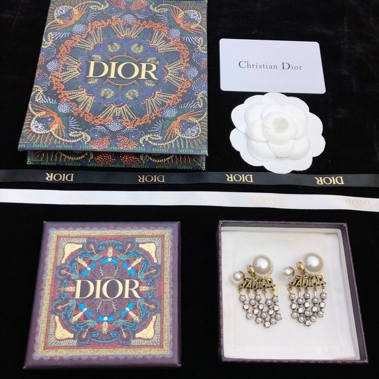 Christian Dior Earrings